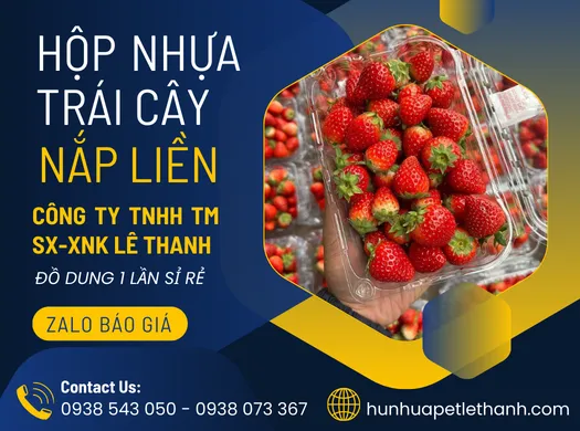 Mua sỉ HỘP NHỰA ĐỰNG TRÁI CÂY tại Tiền Giang