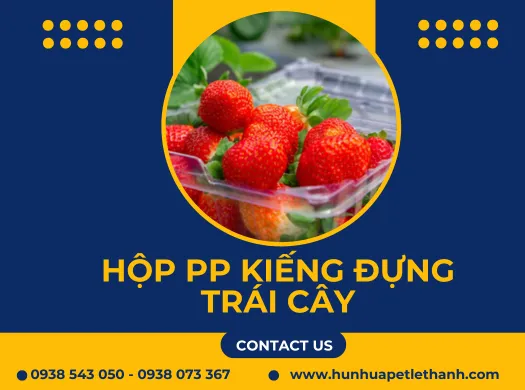 HỘP NHỰA PP KIẾNG đựng trái cây, rau củ quả