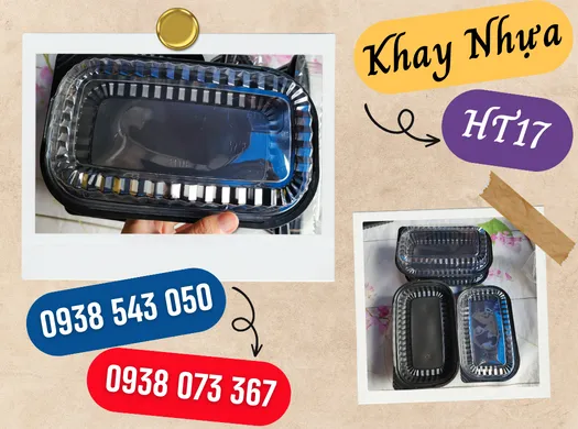HỘP NHỰA ĐẾ ĐEN HT17 1 NGĂN giá sỉ mua ở đâu?