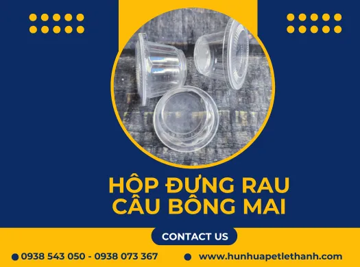 HỘP ĐỰNG RAU CÂU BÔNG MAI giá tận kho xưởng