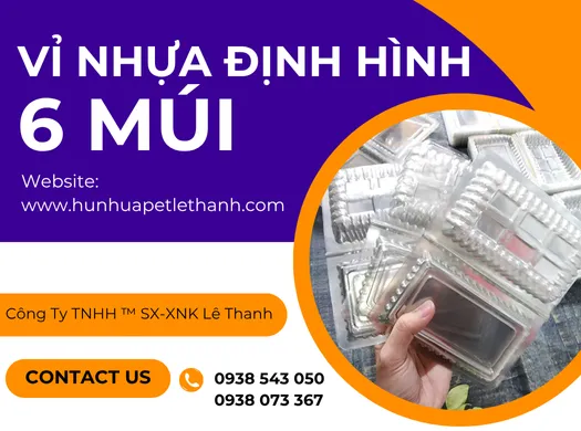 Mua giá gốc cực rẻ VỈ NHỰA ĐỊNH HÌNH 6 MÚI