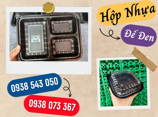 HỘP NHỰA ĐẾ ĐEN giá sỉ Miền Nam