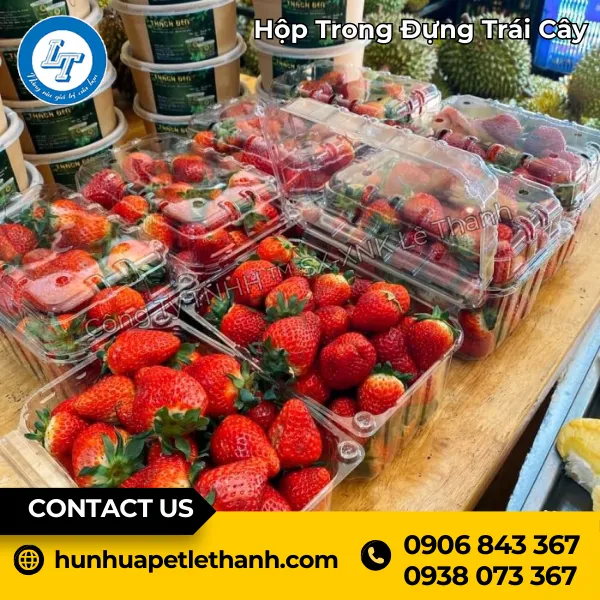 Hộp Đựng Trái Cây