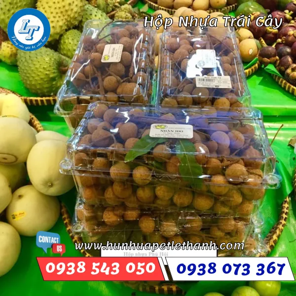 HỘP ĐỰNG TRÁI CÂY
