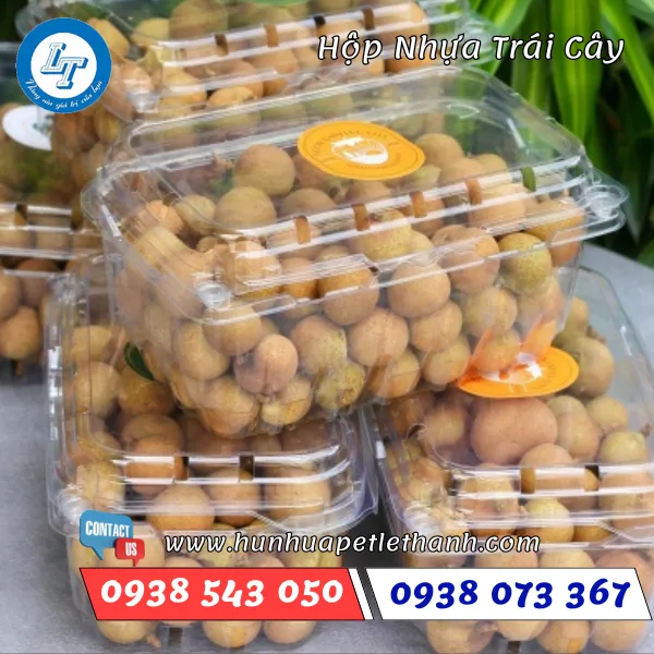 HỘP ĐỰNG TRÁI CÂY