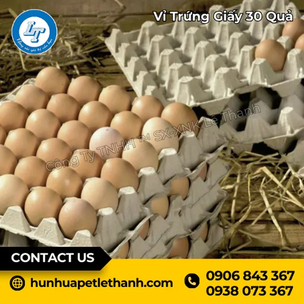 Vỉ Trứng Giấy 30 Quả