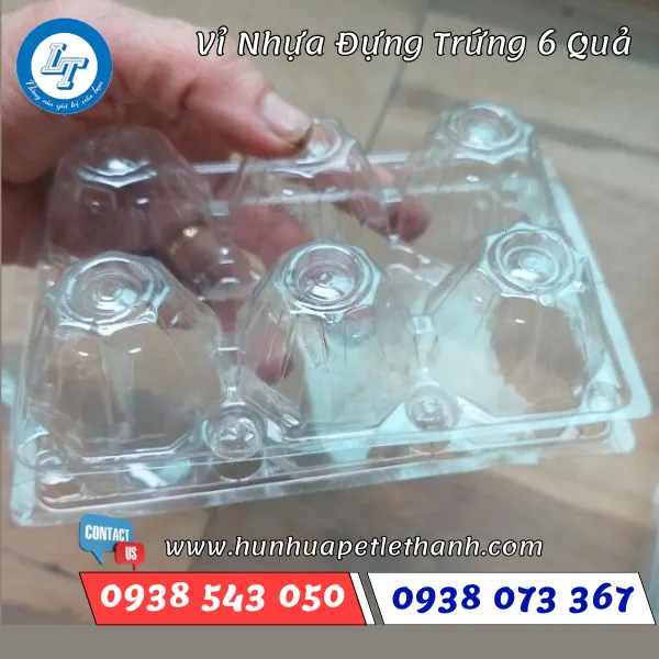 VỈ NHỰA ĐỰNG TRỨNG GÀ 6 QUẢ