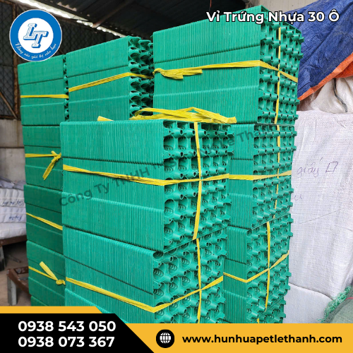 có ngay giá sỉ tốt khi đặt vỉ trứng nhựa 30 ô xanh lá 4 có ngay giá sỉ tốt khi đặt vỉ trứng nhựa 30 ô xanh lá 4