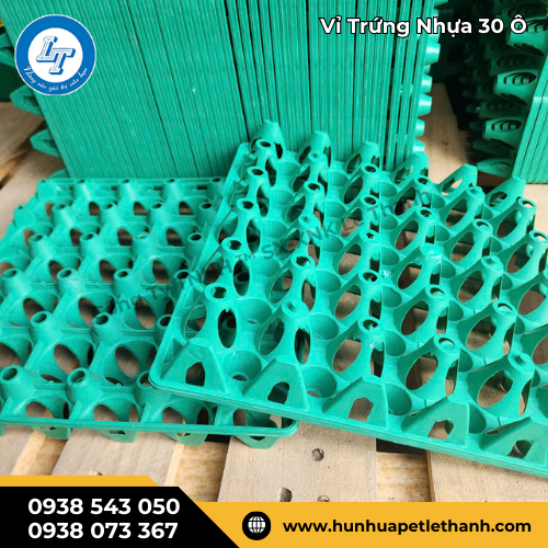 có ngay giá sỉ tốt khi đặt vỉ trứng nhựa 30 ô xanh lá 3 có ngay giá sỉ tốt khi đặt vỉ trứng nhựa 30 ô xanh lá 3