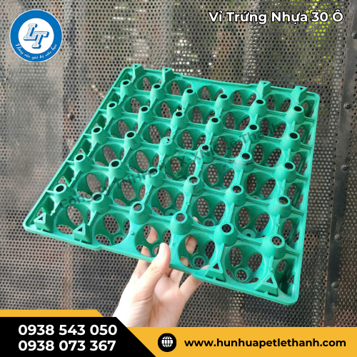 có ngay giá sỉ tốt khi đặt vỉ trứng nhựa 30 ô xanh lá 1 có ngay giá sỉ tốt khi đặt vỉ trứng nhựa 30 ô xanh lá 1