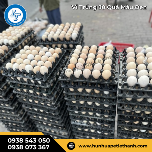 vỉ trứng 30 quả bằng nhựa màu đen mẫu đẹp giá rẻ 3 vỉ trứng 30 quả bằng nhựa màu đen mẫu đẹp giá rẻ 3