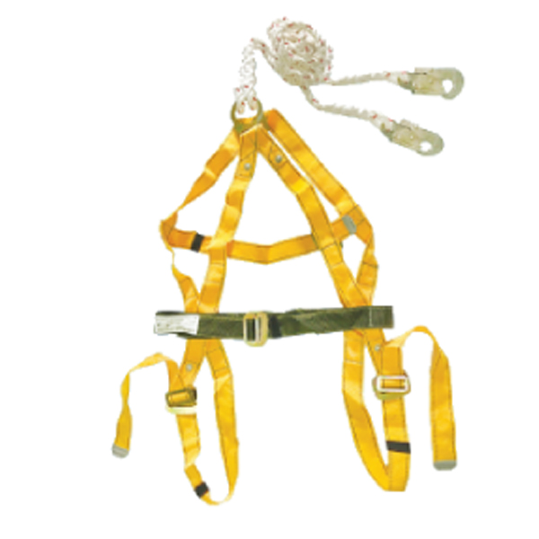 Dây An Toàn Toàn Thân 2 Móc Nhỏ D044