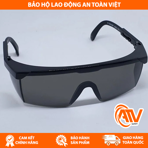 Kính Bảo Hộ Safegear P650-A màu đen