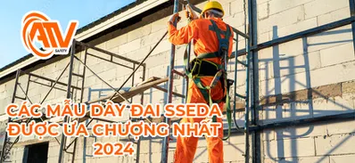 Các Mẫu Dây Đai Bảo Hộ SSEDA Hàn Quốc Đa Dạng