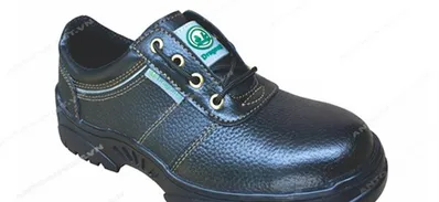 Giày Bảo Hộ Dragon - Antoanviet.com