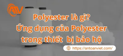 Polyester Là Gì? Đặc Điểm - Ưu Nhược Điểm - Ứng Dụng