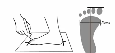 Hướng Dẫn Chọn Size Giày Bảo Hộ Lao Động: Từ Cơ Bản Đến Nâng Cao