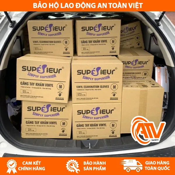  Găng Tay Y Tế Không Bột Vinyl Supérieur