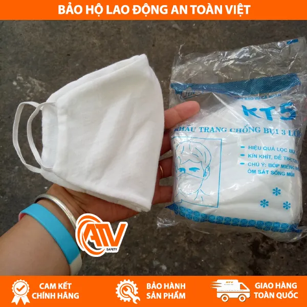 Khẩu Trang KT5 Có Nẹp Trong