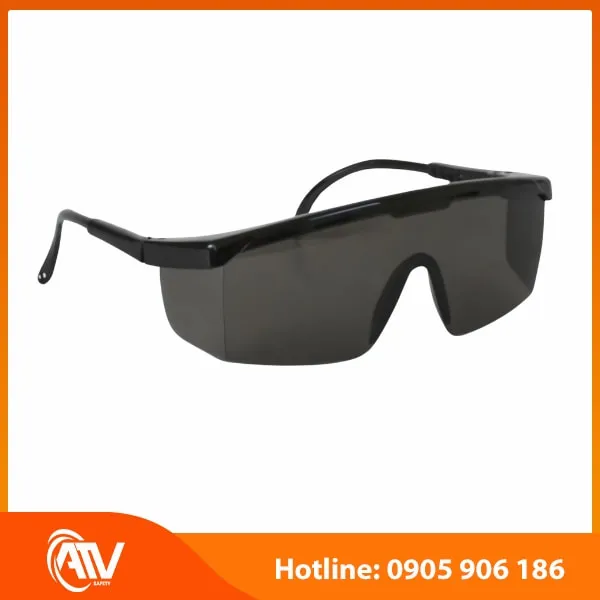 Kính Bảo Hộ Everest EV105