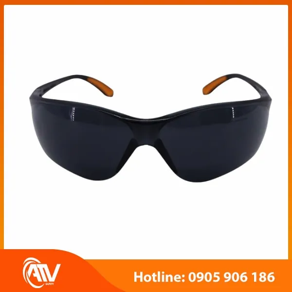 Kính Bảo Hộ Everest EV202 