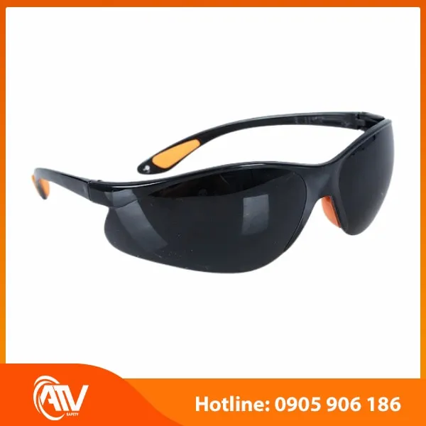 Kính Bảo Hộ Everest EV202 