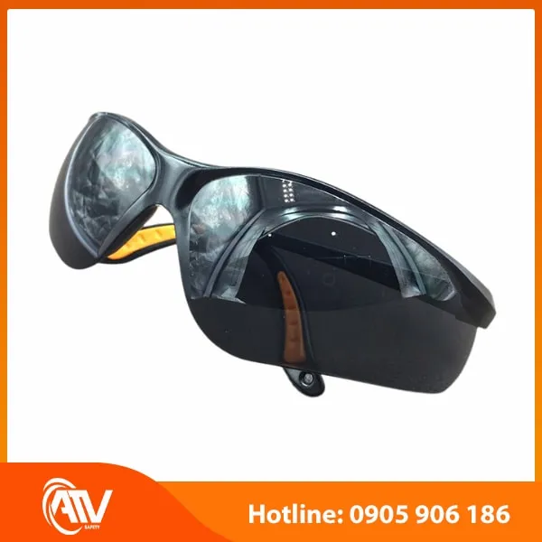 Kính Bảo Hộ Everest EV202 
