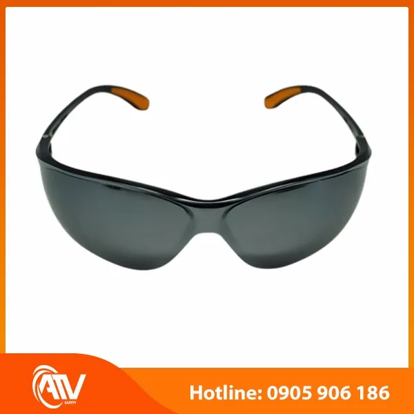 Kính Bảo Hộ Everest EV204