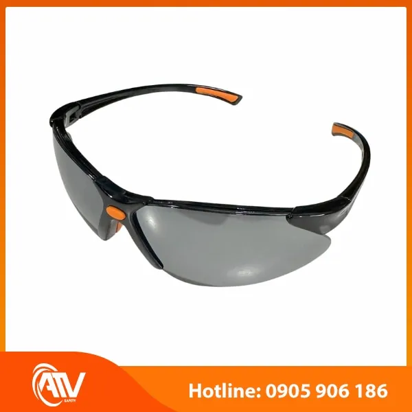 Kính Bảo Hộ Everest EV304