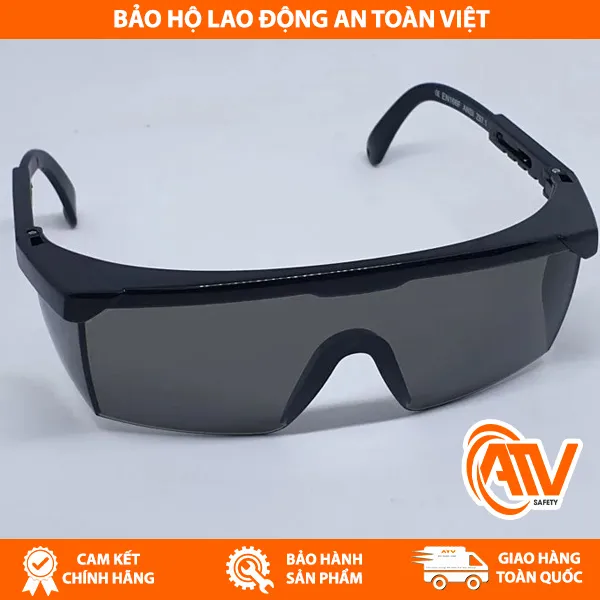Kính Bảo Hộ Safegear P650-A 