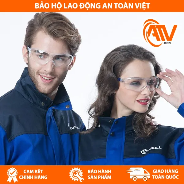 Kính Bảo Hộ Safegear P9005Y 