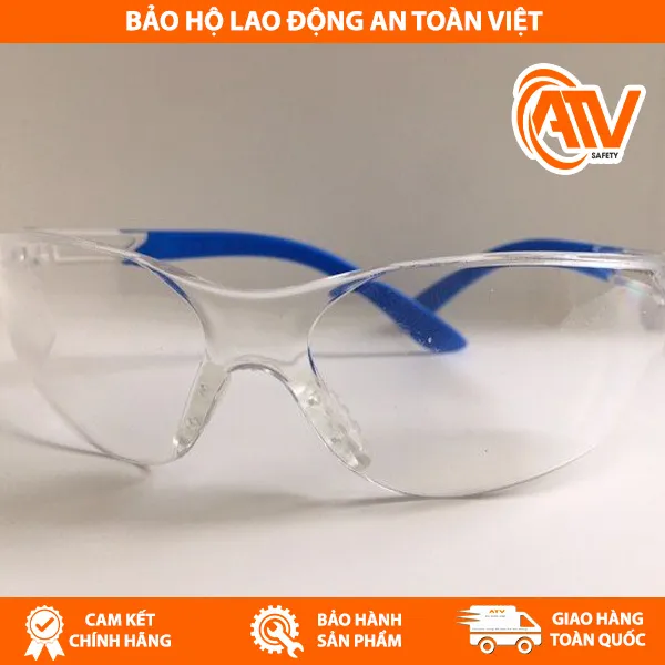 Kính Bảo Hộ Safegear P9005Y 