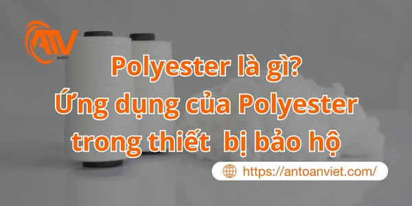 Polyester Là Gì? Đặc Điểm - Ưu Nhược Điểm - Ứng Dụng