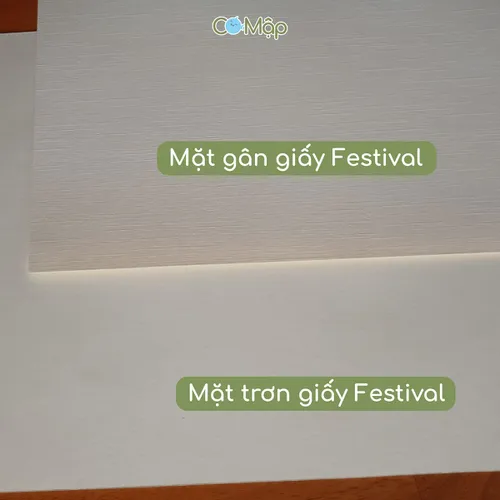 Giấy gân mỹ thuật Leathack và Festival - Đẹp, bền, sang trọng