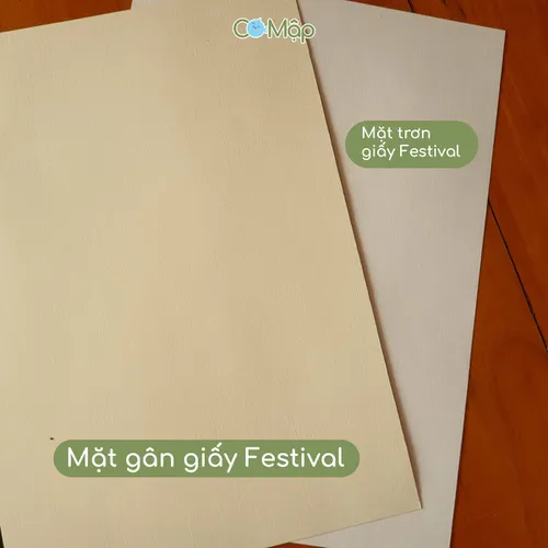 Giấy gân mỹ thuật Leathack và Festival - Đẹp, bền, sang trọng