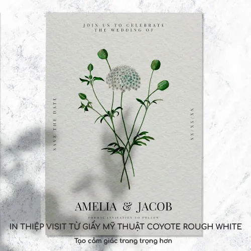 In giấy mỹ thuật Coyote Rough White - Giấy đến từ Hàn Quốc tinh tế và độc đáo