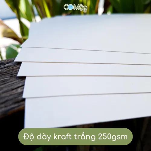 Giấy Kraft trắng - In ấn đẹp mắt, giá thành hợp lý, tạo ấn tượng khó quên cho các chiến dịch marketing