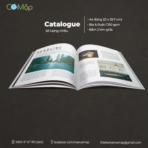 In catalogue số lượng lớn - Tiết kiệm chi phí và thời gian