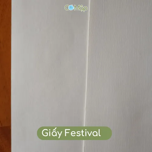 Giấy gân mỹ thuật Leathack và Festival - Đẹp, bền, sang trọng