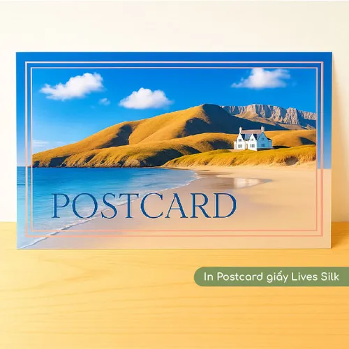 Giấy mỹ thuật Lives Silk – Mịn, trắng sáng, thân thiện môi trường