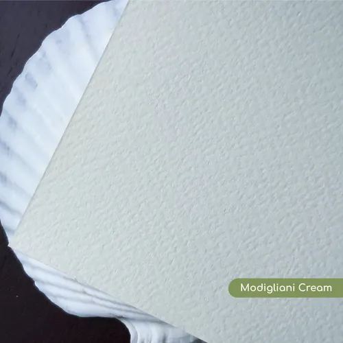 Giấy mỹ thuật Modigliani - Vân nhẹ sang trọng