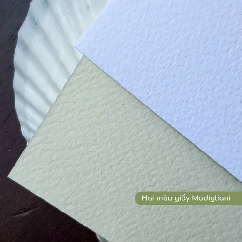 Giấy mỹ thuật Modigliani - Vân nhẹ sang trọng