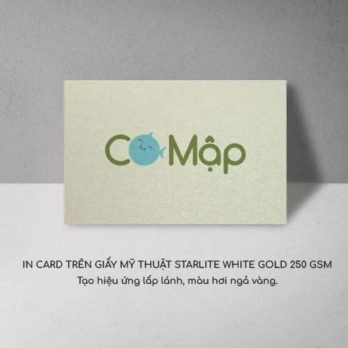 In giấy mỹ thuật Starlite White Gold - Bề mặt ánh kim tạo lấp lánh