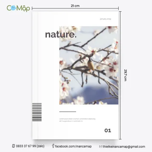 In catalogue đóng keo gáy - Thẩm mỹ cao hơn, bền hơn, số trang linh hoạt