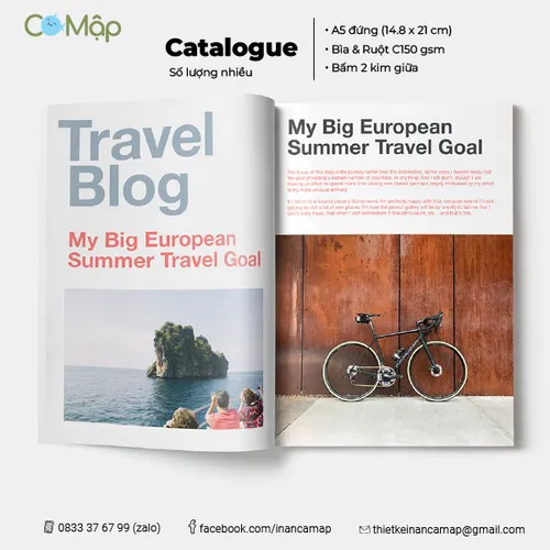 In catalogue số lượng lớn - Tiết kiệm chi phí và thời gian