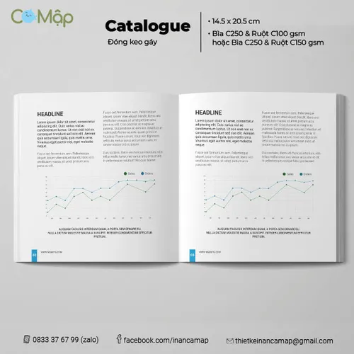 In catalogue đóng keo gáy - Thẩm mỹ cao hơn, bền hơn, số trang linh hoạt