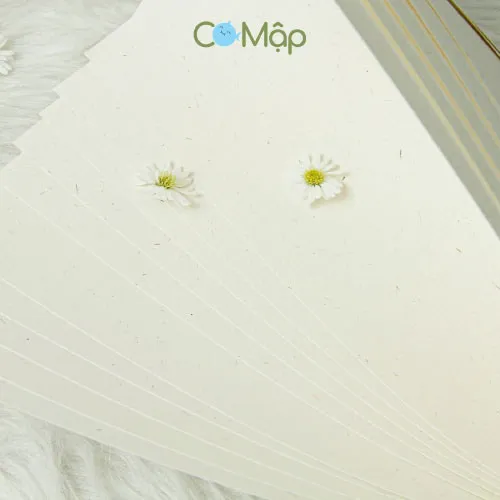 In giấy mỹ thuật Magic Comma - Nét đẹp cổ điển, thanh lịch