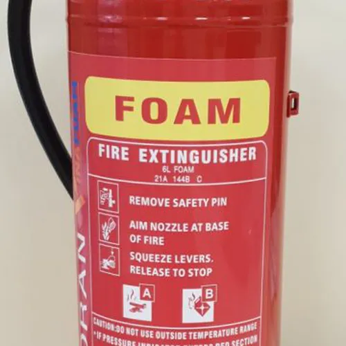 Bình Chữa Cháy Bột Foam Renan 9L MFZ9