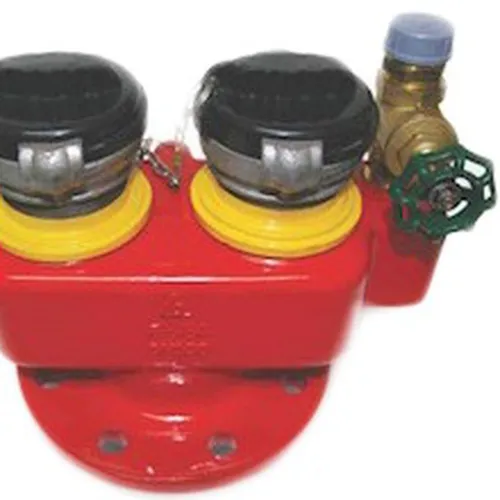 Họng Tiếp Nước (Trụ Tiếp nước) DN100