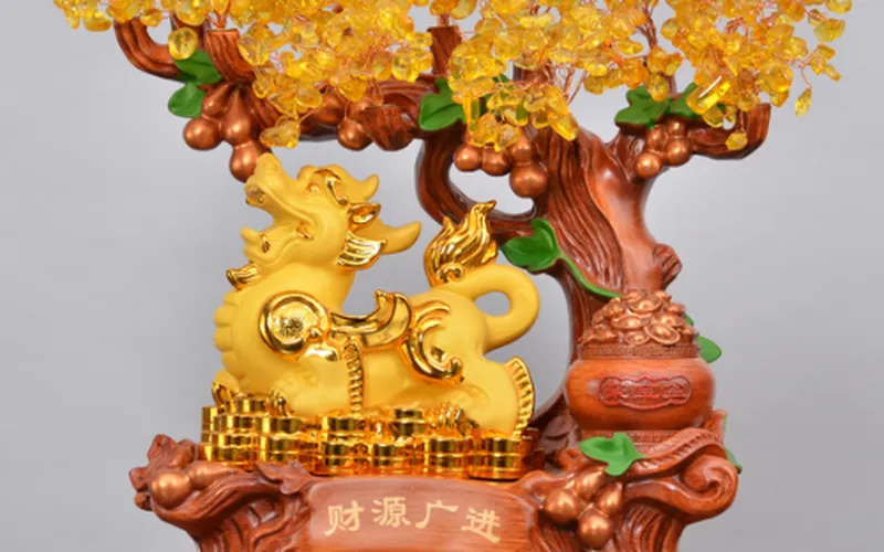 Cây Kim Tiền Tỳ Hưu Vàng